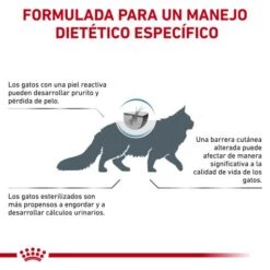 Royal Canin Skin & Coat -Pet Supplies-Cats Shop RC VET DRY CatSkinCoat CV Eretailkit 9 es ES 62fce059db750 g