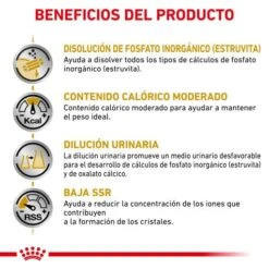 Royal Canin Urinary S/O Moderate Calorie -Pet Supplies-Cats Shop RC VET DRY CatUrinarySOMC CV Eretailkit 3 es ES 62fce5367f0e7 g