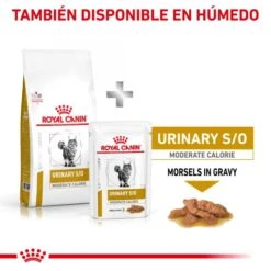 Royal Canin Urinary S/O Moderate Calorie -Pet Supplies-Cats Shop RC VET DRY CatUrinarySOMC CV Eretailkit 6 es ES 62fce53fb9f06 g