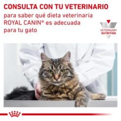 Royal Canin Urinary S/O Moderate Calorie -Pet Supplies-Cats Shop RC VET DRY CatUrinarySOMC CV Eretailkit 7 es ES 62fce5417b5a8 g