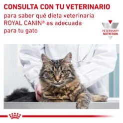 Royal Canin Vhn Urinary Urinary S/O Pate Wet Food -Pet Supplies-Cats Shop RC VET WET CatUrinarySOLOAF CV Eretailkit 6 es ES 62fce50eb4f25 g