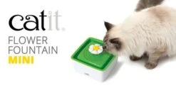 Catit Mini Flower Fountain -Pet Supplies-Cats Shop WEB CATIT 4 63766499342f1 g