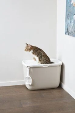 Savic Gato Hop In Covered Sandbox Anthracite -Pet Supplies-Cats Shop casita gato hop in 5 g