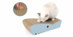 Catit Zoo Shark Scratcher 9 Catit Zoo Shark Scratcher -Pet Supplies-Cats Shop catit rascador tibuon 63fcd1a5b7d2d g