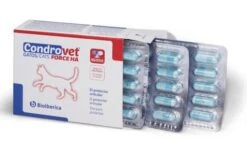 Bioiberica Chondrovet Force HA Cats Joint Chondroprotector