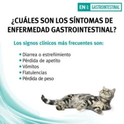 Pack 24 Pro Plan Veterinary Diets EN Gastroenteric Feline Formula Wet -Pet Supplies-Cats Shop en gastrointestinal st ox mousse 4 g