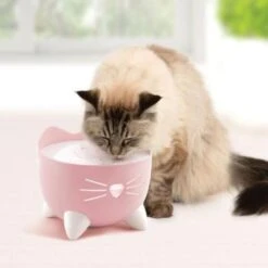 Catit Pixi Pink Fountain -Pet Supplies-Cats Shop gato fuente pixie hagen 62bacb5b48c09 g