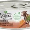 Pack 12 Beyond Grain Free Cat Beef -Pet Supplies-Cats Shop grain free gato buey 1 g