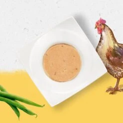 Pack 12 Beyond Grain Free Cat Chicken -Pet Supplies-Cats Shop grain free gato pollo 3 g