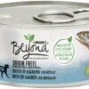 Pack 12 Beyond Grain Free Cat Salmon 2 Pack 12 Beyond Grain Free Cat Salmon -Pet Supplies-Cats Shop grain free gato salmon 1 g
