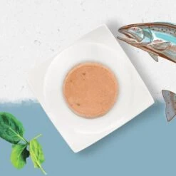 Pack 12 Beyond Grain Free Cat Salmon -Pet Supplies-Cats Shop grain free gato salmon 3 g