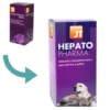 JTPharma Supplement For Dogs And Cats Hepato Pharma 1 JTPharma Supplement For Dogs And Cats Hepato Pharma -Pet Supplies-Cats Shop hepato ml 63f76a1852e09 63f79faf1429b g