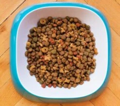 Primordial Cat Food Adult Duck And Turkey -Pet Supplies-Cats Shop ingredienti sfondo 4 2bb074ee 62cff5642cd10 g