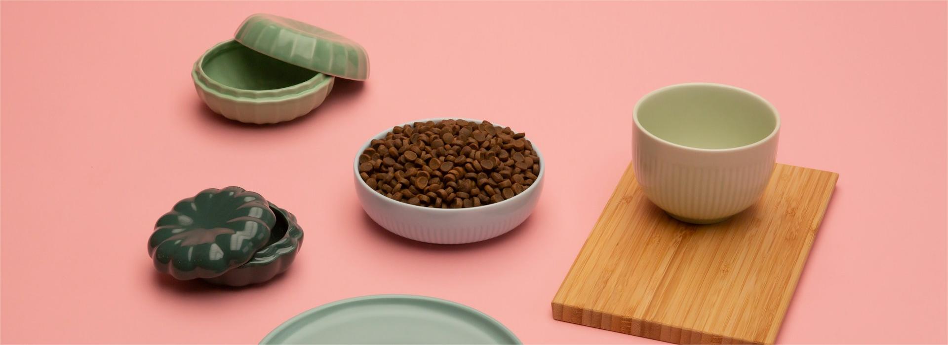 Pet Supplies-Cats Shop -Pet Supplies-Cats Shop kabo RKDRI LK9c0 unsplash