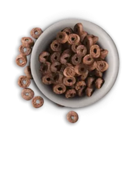 Leonardo Adult Complete -Pet Supplies-Cats Shop leonardo complete kroketten 800x800 6357e23243365 g