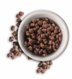 Leonardo Kitten Feed -Pet Supplies-Cats Shop leonardo kitten pienso 62fcf50745e85 g