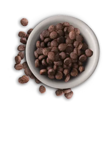 Leonardo Adult Lamb 4 Leonardo Adult Lamb - Image 2