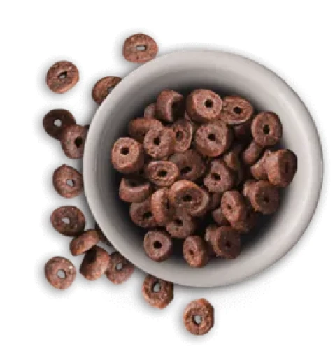 Leonardo Senior 4 Leonardo Senior - Image 2