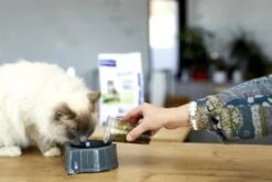 HPM Veterinary Adult Salmon Neutered & Entire Cat -Pet Supplies-Cats Shop neuteredadultcat 6230689653378 g