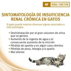 Pro Plan Veterinary Diets Feline Nf Pouch Chicken -Pet Supplies-Cats Shop nf renal function st ox trocitos en salsa de pollo 5 g