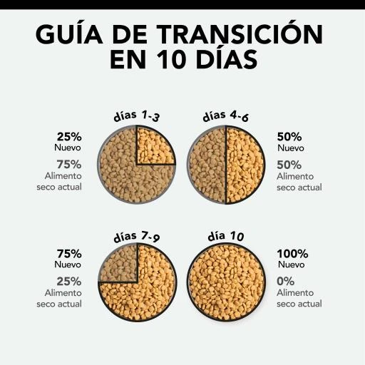 Pro Plan Adult Chicken And Rice 10 Pro Plan Adult Chicken And Rice - Image 8