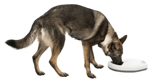 Trixie Smart Feeder TX4+1 For Dogs And Cats 5 Trixie Smart Feeder TX4+1 For Dogs And Cats - Image 3