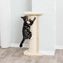 Trixie Lorca Scratching Post -Pet Supplies-Cats Shop pho pro cat 4350 1 62175f07967d6 g