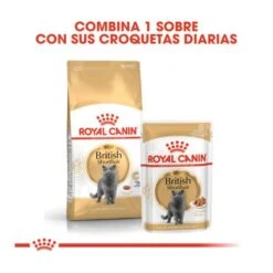 Royal Canin British Shorthair -Pet Supplies-Cats Shop pienso para gatos british shorthair royal canin 62f508a78e799 g