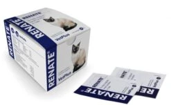 VetPlus Renate Para Problemas De Insuficiencia Renal En Gatos