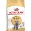 Royal Canin British Shorthair -Pet Supplies-Cats Shop royal canin british shorthair 63bd8d9189de4 g