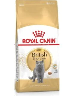 Royal Canin British Shorthair
