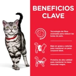 Hill's Science Plan Adult Indoor Hairball With Chicken -Pet Supplies-Cats Shop science plan adult indoor hairball pollo 2 g