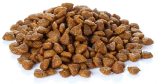 Banters Cat Adult Turkey 4 Banters Cat Adult Turkey - Image 2