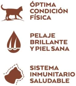 Nature's Variety Pienso Selected De Salmón Noruego Para Gatos -Pet Supplies-Cats Shop selected grain free salmon 4 g