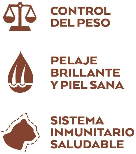 Nature's Variety Pienso Selected De Pollo Campero Para Gatos Esterilizados 6 Nature's Variety Pienso Selected De Pollo Campero Para Gatos Esterilizados - Image 4