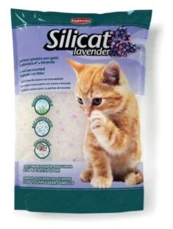 Padovan Silicat, Lavender