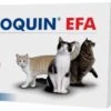 VetPlus Synoquin Joint Chondroprotector In Cats -Pet Supplies-Cats Shop synoquin condroprotector articular en gatos 1 g