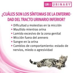 Pro Plan Veterinary Diets UR Urinary 30 Pro Plan Veterinary Diets UR Urinary -Pet Supplies-Cats Shop ur urinary st ox 5 g