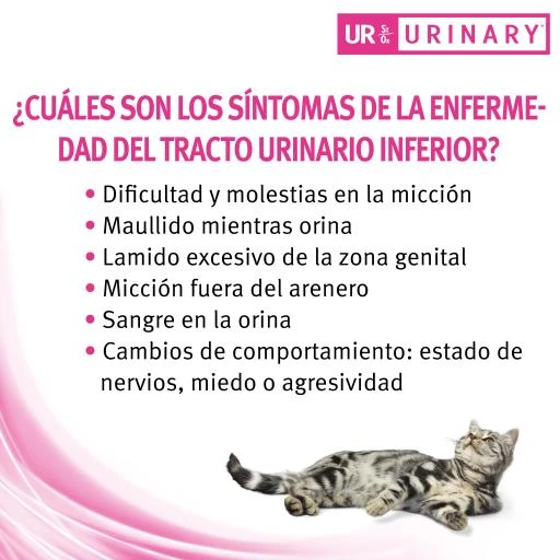 Pro Plan Veterinary Diets UR Urinary 16 Pro Plan Veterinary Diets UR Urinary - Image 14