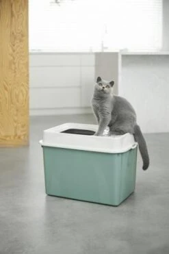 Rotho Cat Toilet Berty Verde -Pet Supplies-Cats Shop vyrp16 17464004605092 7610859232762 pi rgb 102412 64679437d9f62 g